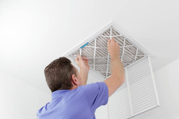 Best Local Air Duct Cleaning Services  in La Nte, MO